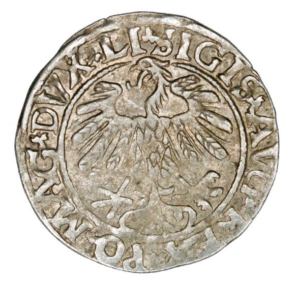 Półgrosz 1559 Zygmunt II August Litwa Wilno (2)