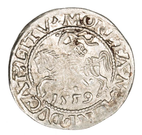 Półgrosz 1559 Zygmunt II August Litwa Wilno (1)