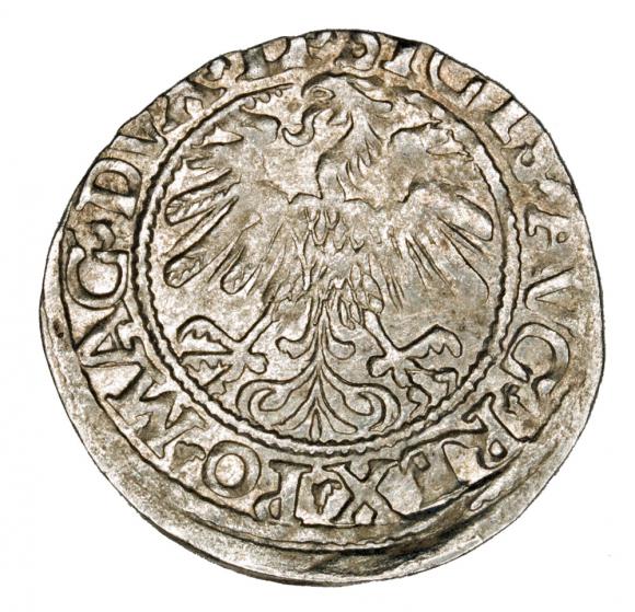 Półgrosz 1559 Zygmunt II August Litwa Wilno (2)