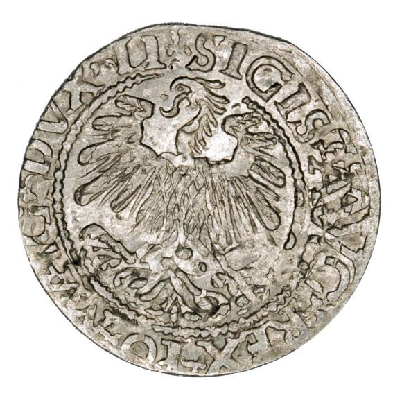 Półgrosz 1559 Zygmunt II August Litwa Wilno (2)
