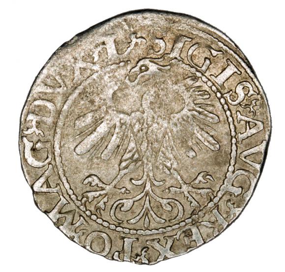Półgrosz 1560 Zygmunt II August Litwa Wilno (2)