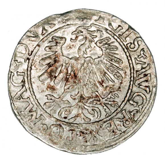 Półgrosz 1560 Zygmunt II August Litwa Wilno (2)