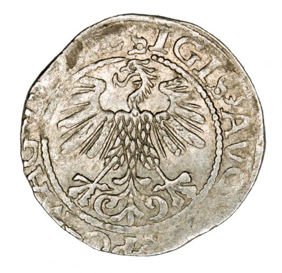 Półgrosz 1560 Zygmunt II August Litwa Wilno (2)