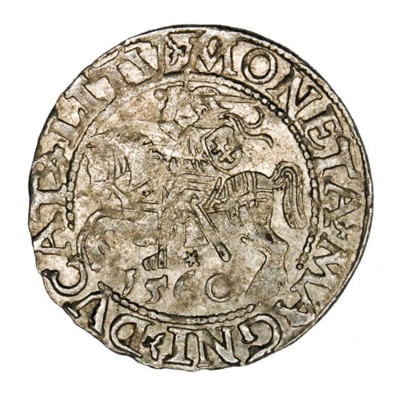 Półgrosz 1560 Zygmunt II August Litwa Wilno (1)
