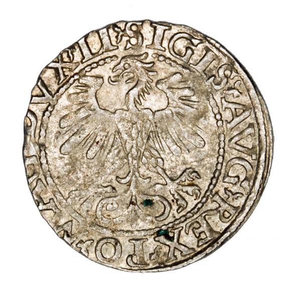 Półgrosz 1560 Zygmunt II August Litwa Wilno (2)
