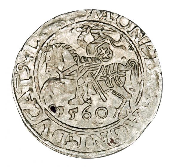 Półgrosz 1560 Zygmunt II August Litwa Wilno (1)