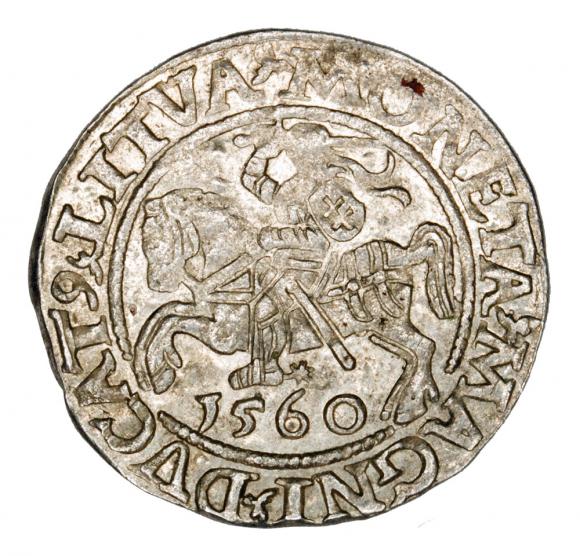 Półgrosz 1560 Zygmunt II August Litwa Wilno (1)