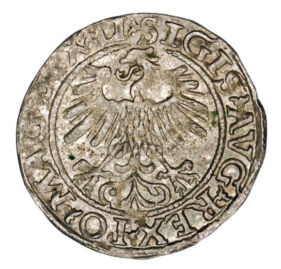 Półgrosz 1560 Zygmunt II August Litwa Wilno (2)