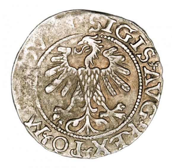 Półgrosz 1560 Zygmunt II August Litwa Wilno (2)