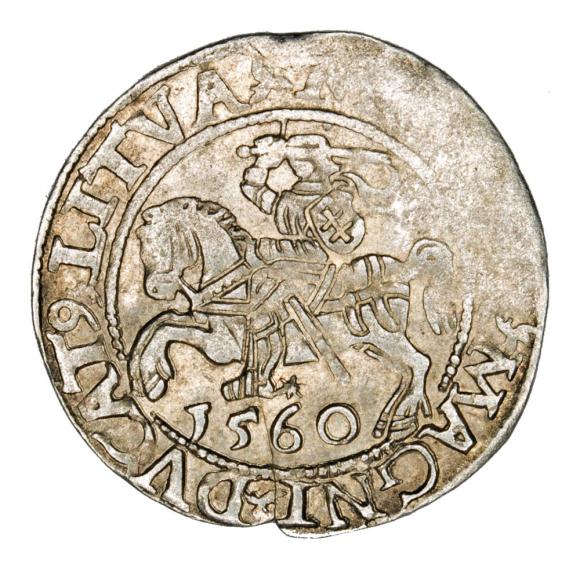 Półgrosz 1560 Zygmunt II August Litwa Wilno (1)