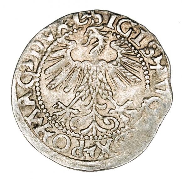 Półgrosz 1560 Zygmunt II August Litwa Wilno (2)