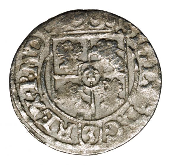 Półtorak 1619 Zygmunt III Waza Polska Bydgoszcz (2)