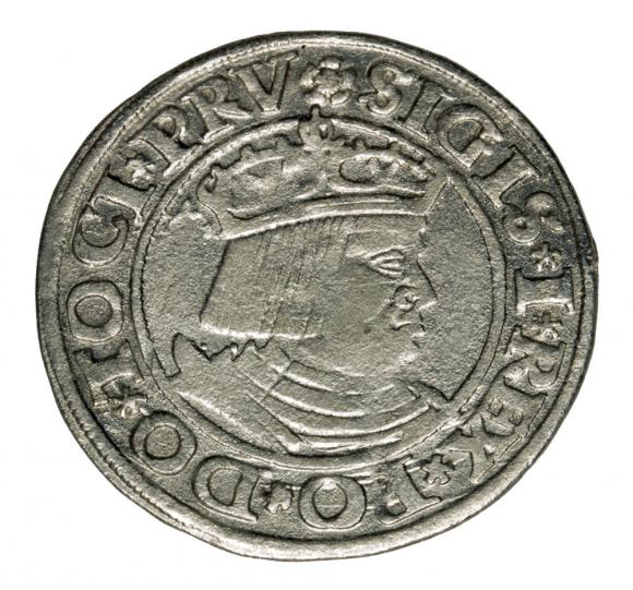 Grosz 1530 Zygmunt I Stary Gdańsk (1)