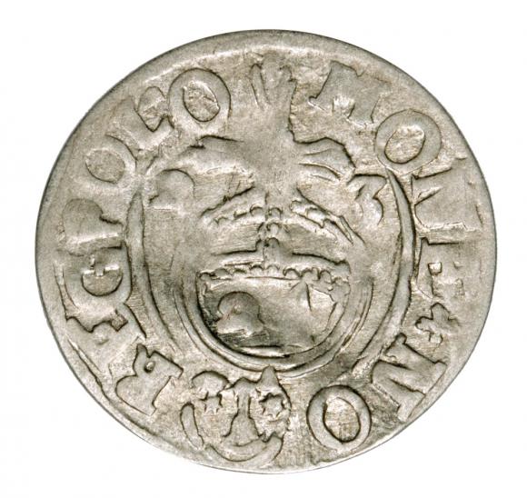 Półtorak 1623 Zygmunt III Waza Polska Bydgoszcz (1)