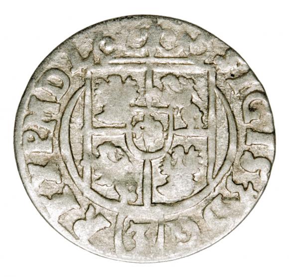 Półtorak 1623 Zygmunt III Waza Polska Bydgoszcz (2)