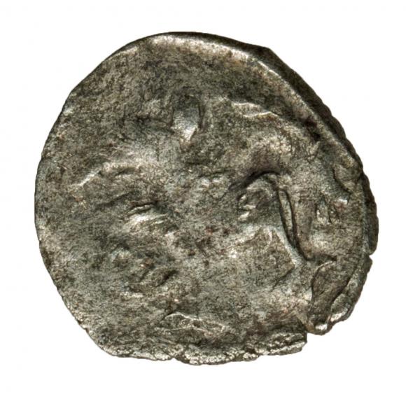 Denar Dymin Pomorze Zachodnie (2)
