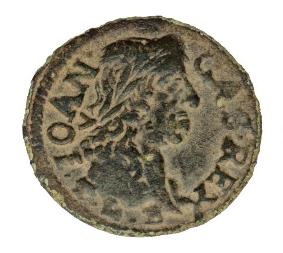 18255 (1)
