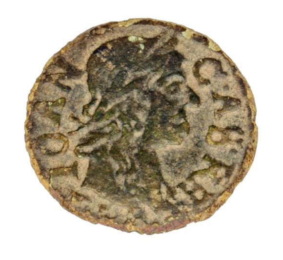 18263 (1)