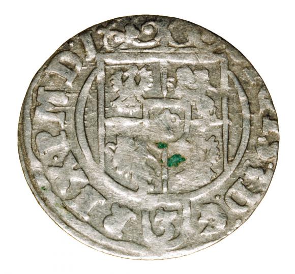 Półtorak 1625 Zygmunt III Waza Polska Bydgoszcz (2)