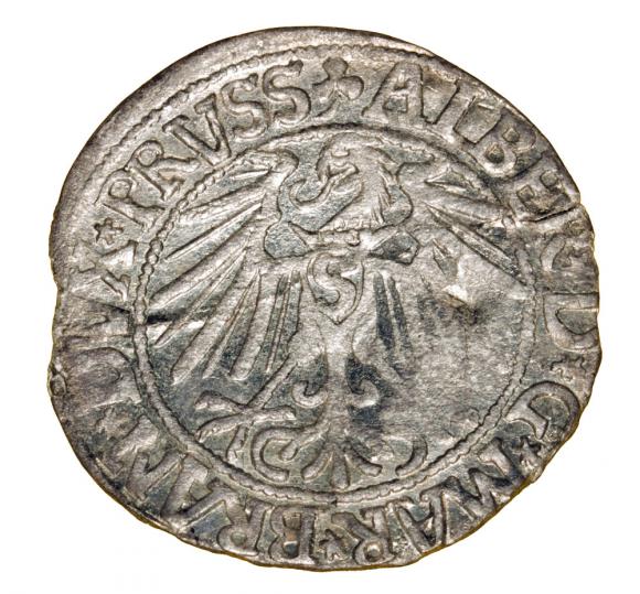 Grosz 1546 Albrecht Hohenzollern Księstwo Pruskie Królewiec (2)