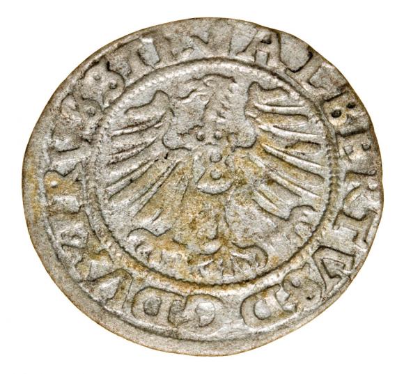 19121 (2)
