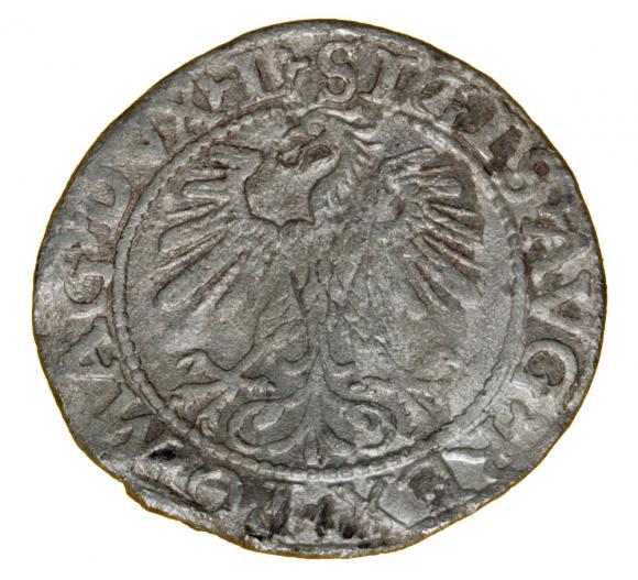 Półgrosz 1560 Zygmunt II August Wilno (2)
