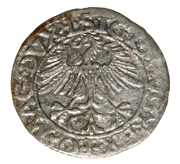 Półgrosz 1561 Zygmunt II August Wilno (2)