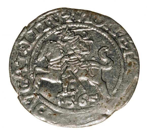 Półgrosz 1565 Zygmunt II August Wilno (1)