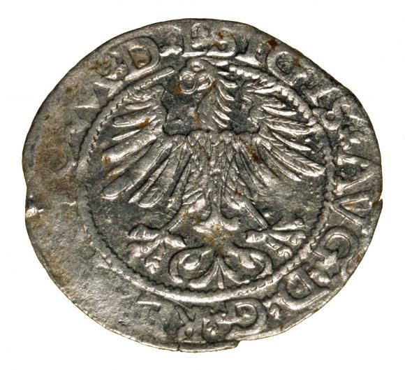 Półgrosz 1565 Zygmunt II August Wilno (2)