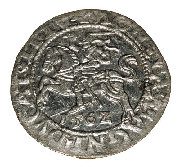 Półgrosz 1562 Zygmunt II August Wilno (1)