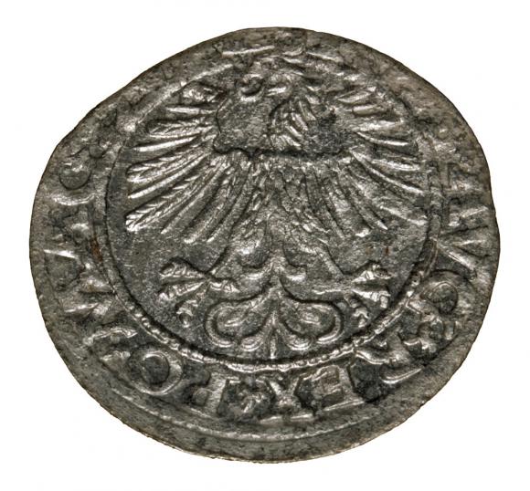 Półgrosz 1562 Zygmunt II August Wilno (2)