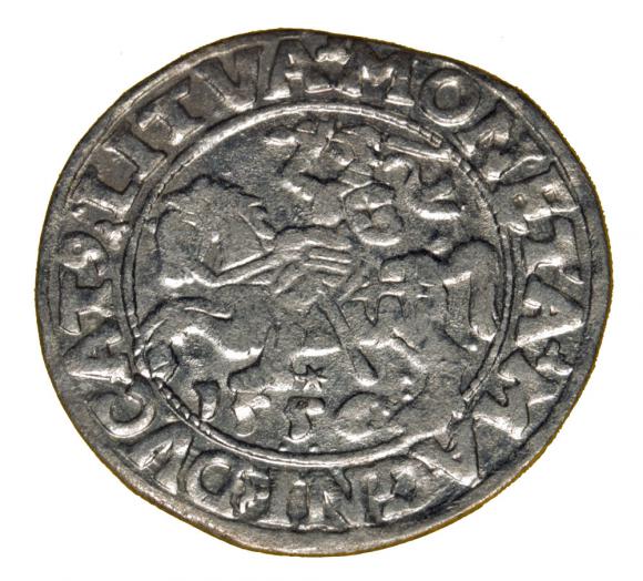 Półgrosz 1556 Zygmunt II August Wilno (1)