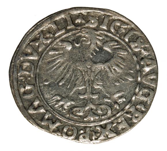 Półgrosz 1556 Zygmunt II August Wilno (2)