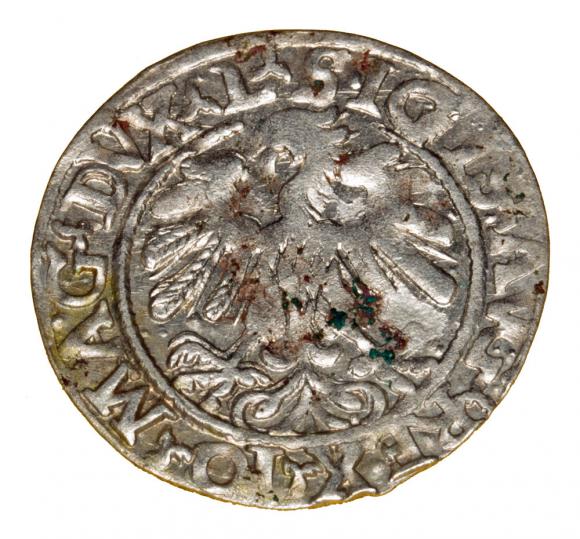 Półgrosz 1559 Zygmunt II August Wilno (2)