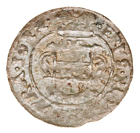 19484 (1)