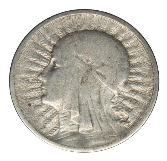 19489 (1)