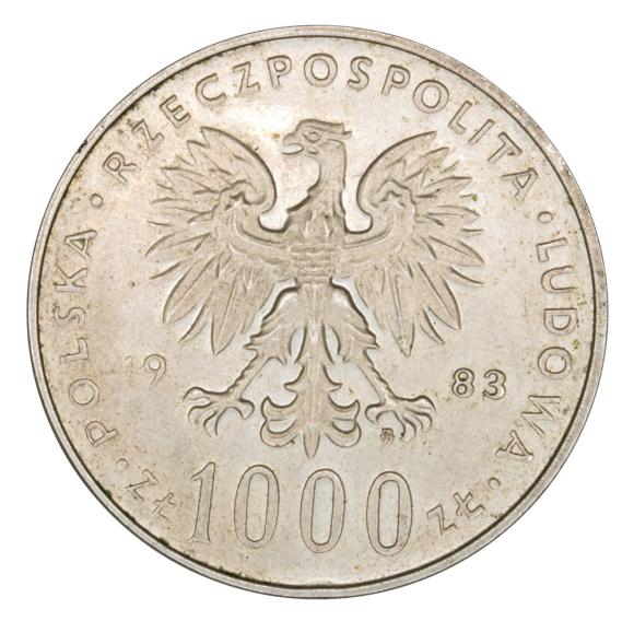 19495 (2)