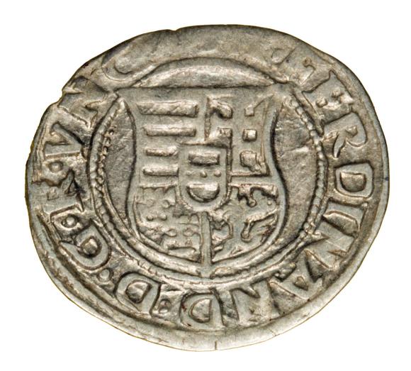 19499 (1)