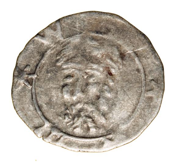 17753 (1)