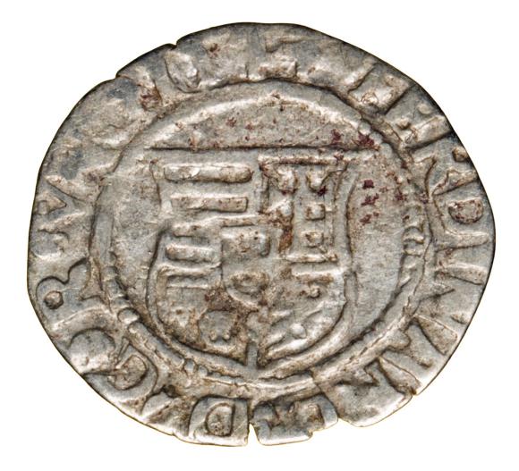 19533 (1)
