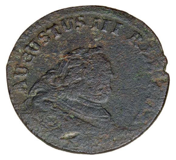 19556 (1)