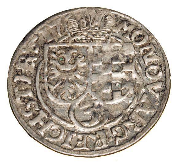 19561 (1)