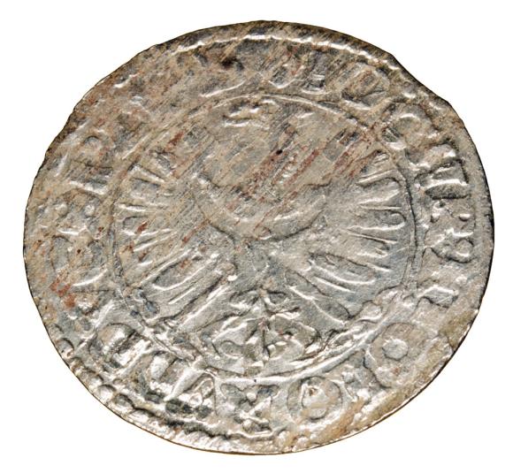 19564 (2)
