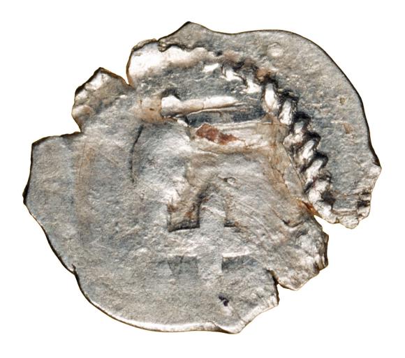19571 (1)