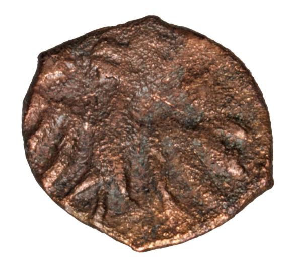 15631 (2)