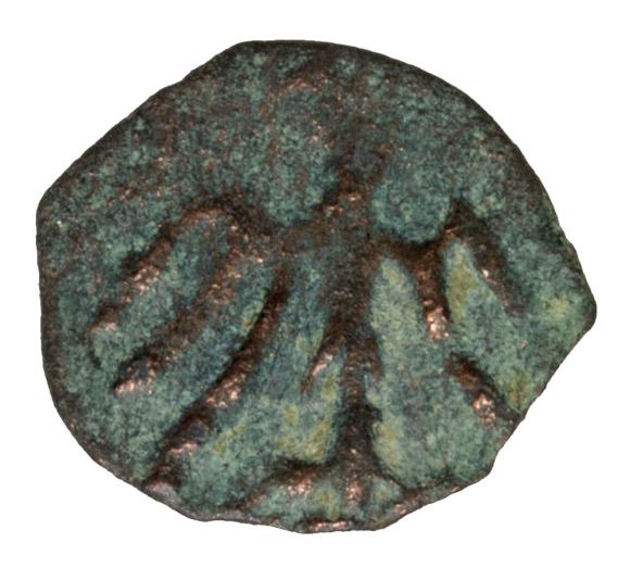 15634 (2)