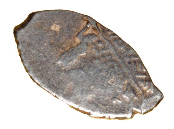 21713 (1)
