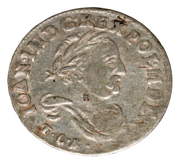 21733 (1)