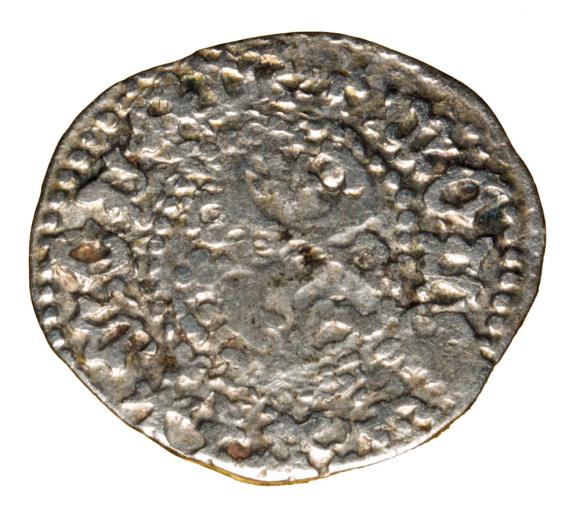 21737 (1)