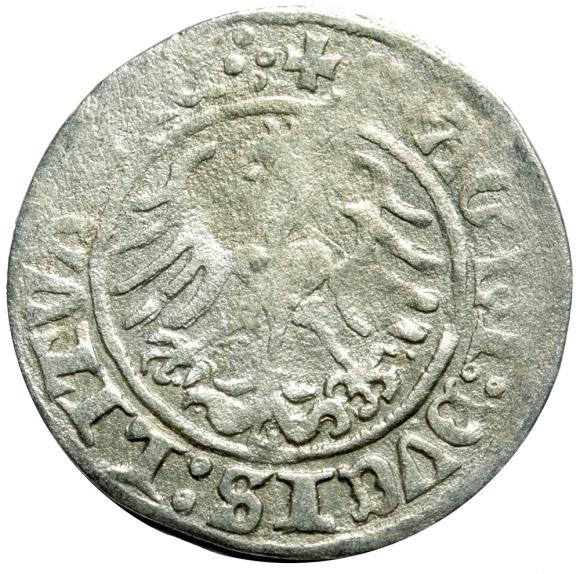 Półgrosz 1513 Zygmunt I Stary Wilno (2)